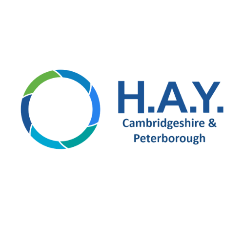 HAY CP Logo - Blue Text - Transparent Background